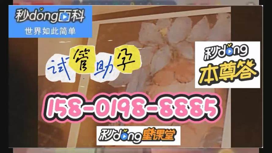 哪里可以合法试管代怀_哪里可以合法进行试管代怀产业的最新动态