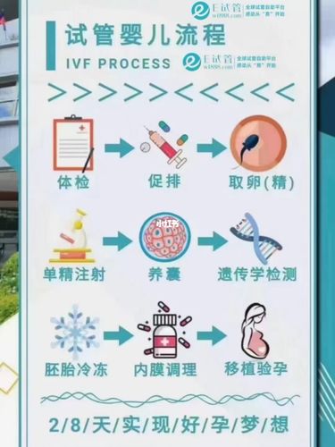 试管婴儿选性别包成功【试管婴儿选性别包成功:实现梦想的关键步骤】