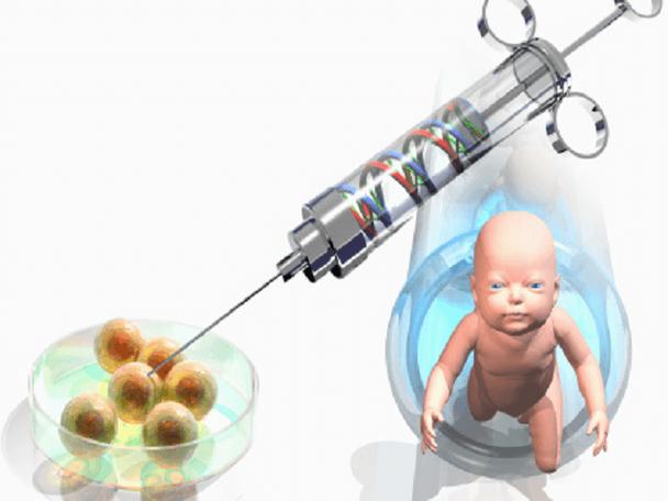 哪里能做人工授精包生男孩【哪里能做人工授精包生男孩?】