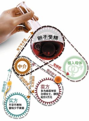 哪里可以供卵-哪里可以供卵:寻找最适合您的供卵中心
