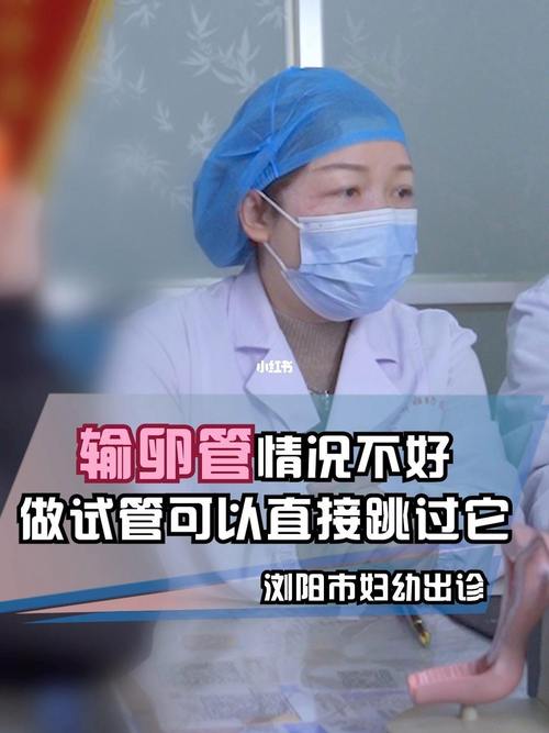 哪里做试管代怀好(哪里是试管代怀好的最佳选择)