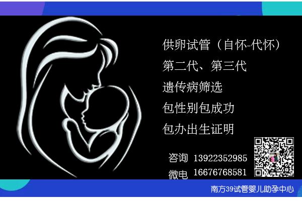 哪里医院能试管代怀_哪里医院能试管代怀:寻找最佳医疗服务