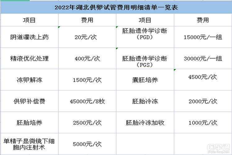试管一次多少钱(试管一次多少钱?试管婴儿成本揭秘)