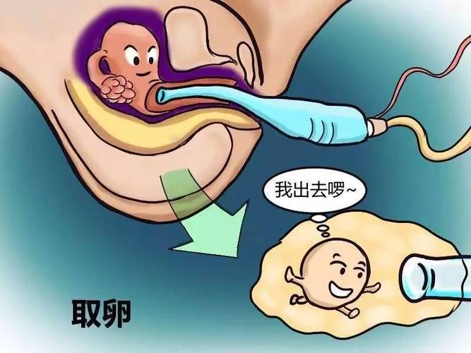 哪里有做供卵试管代怀的_哪里可以找到供卵试管代怀服务?